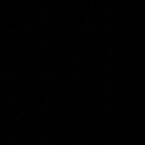 Meet your Posher, Jake